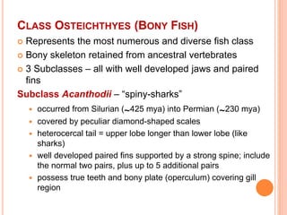 INTRO ICHTHYOLOGY 304.ppt