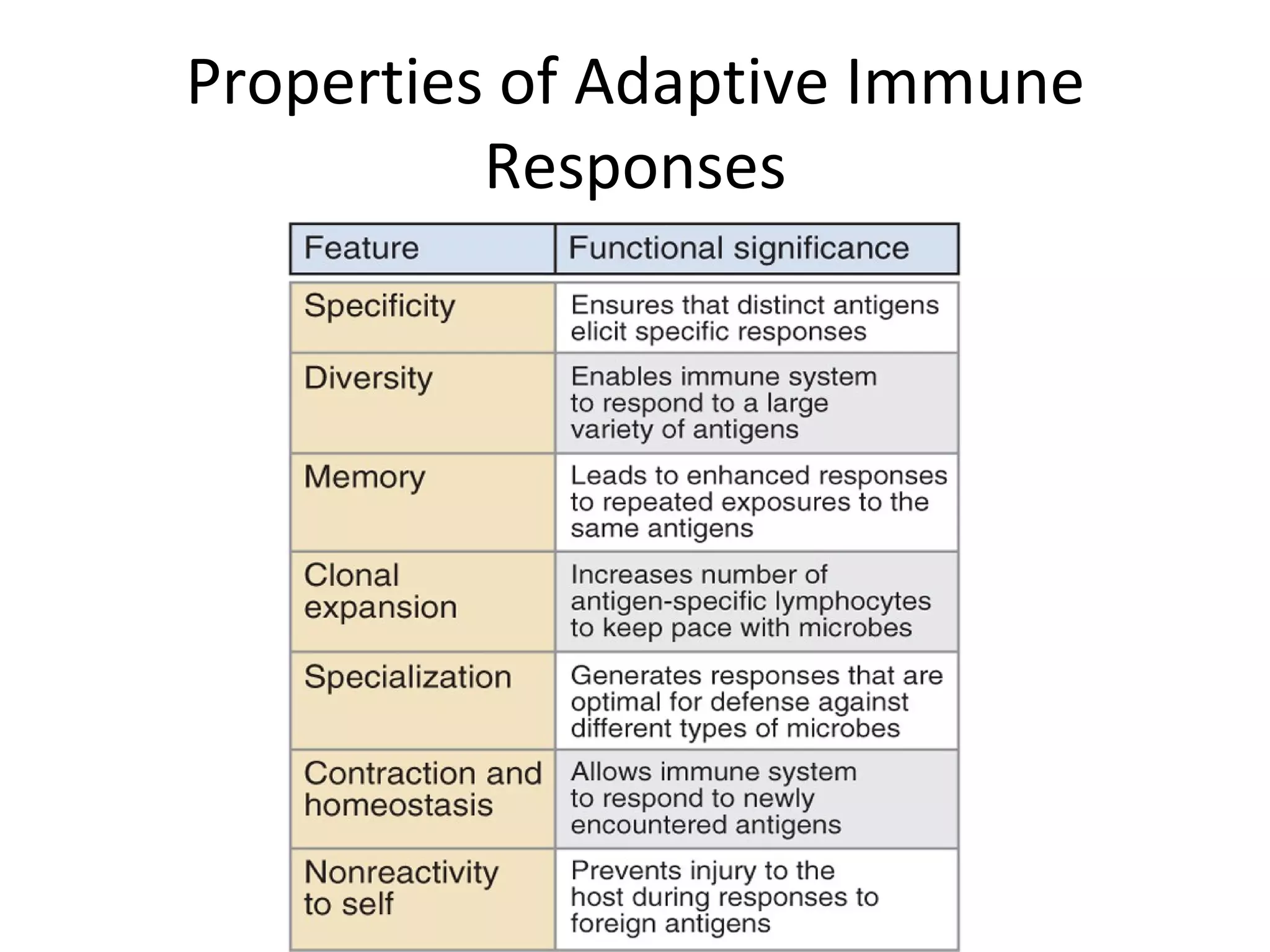 Properties of Adaptive Immune Responses 