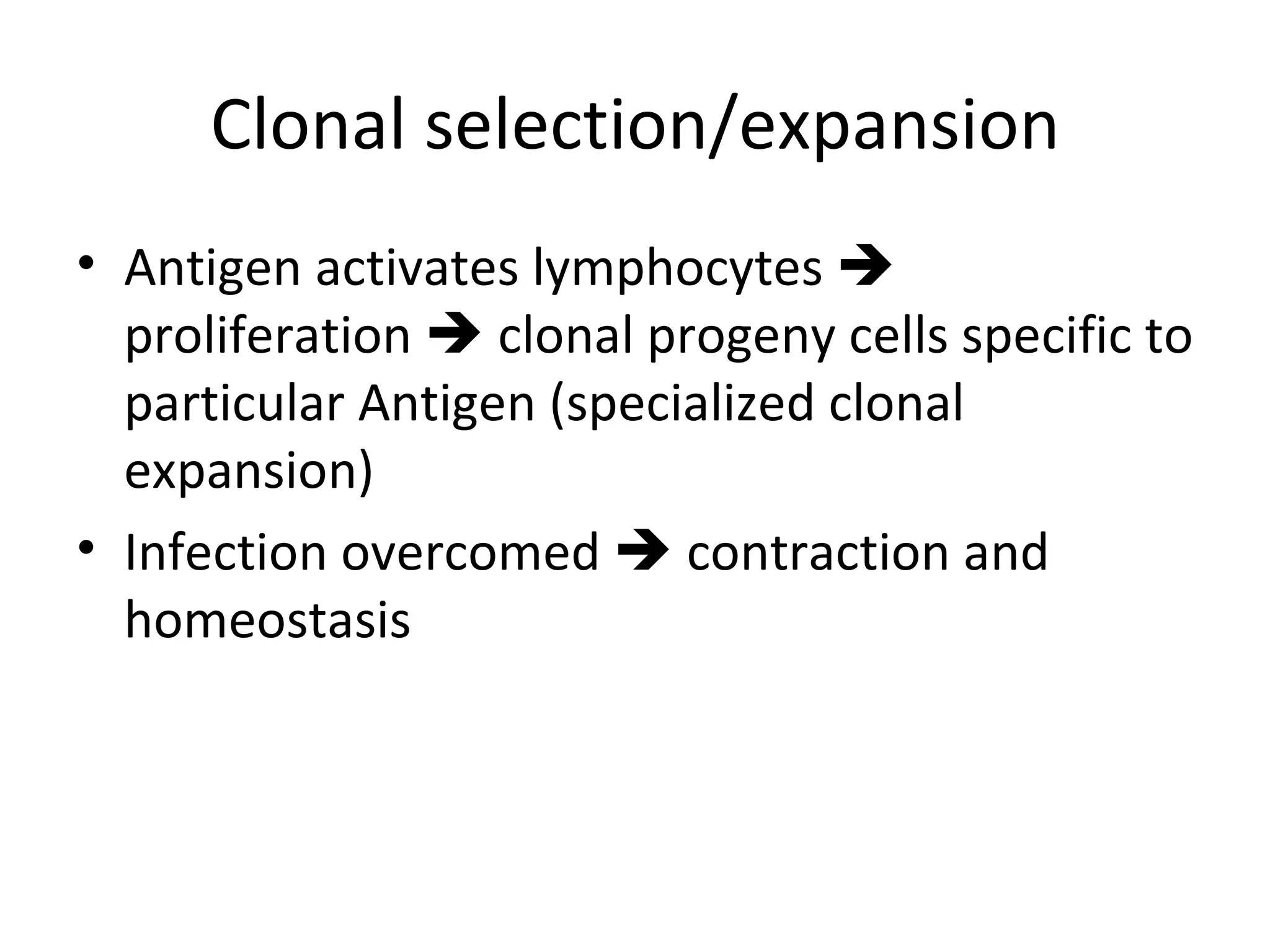 Clonal selection/expansion Antigen activates lymphocytes    proliferation    clonal progeny cells specific to particular Antigen (specialized clonal expansion) Infection overcomed    contraction and homeostasis 