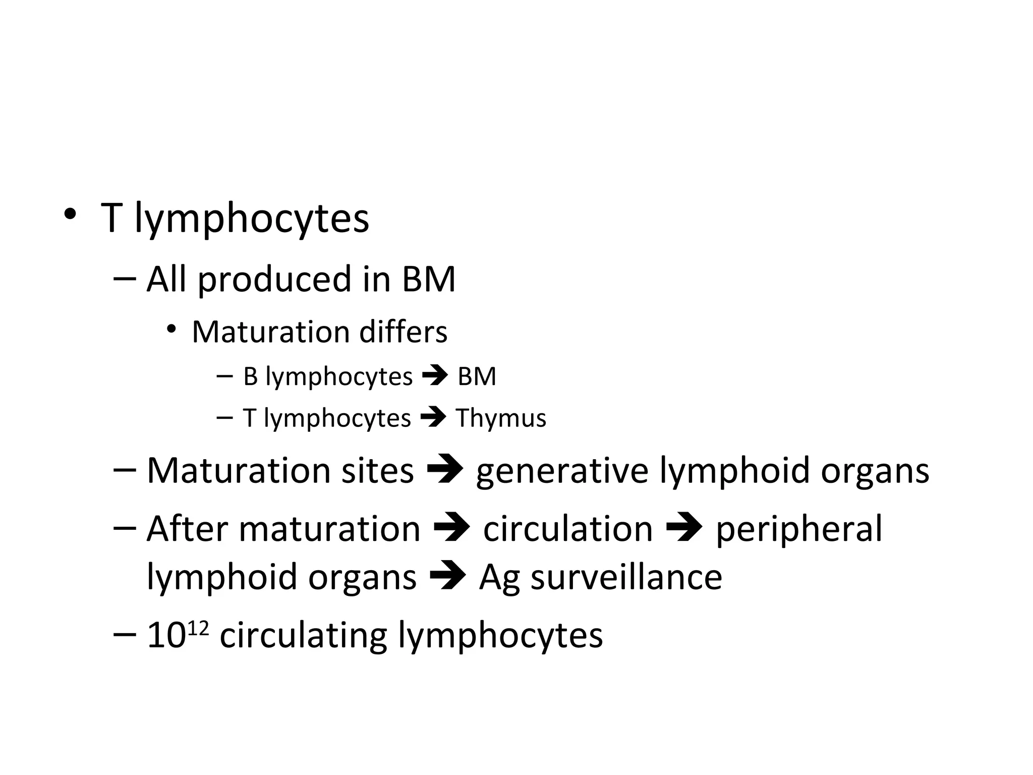T lymphocytes All produced in BM Maturation differs B lymphocytes    BM T lymphocytes    Thymus Maturation sites    generative lymphoid organs After maturation    circulation    peripheral lymphoid organs    Ag surveillance 10 12  circulating lymphocytes  