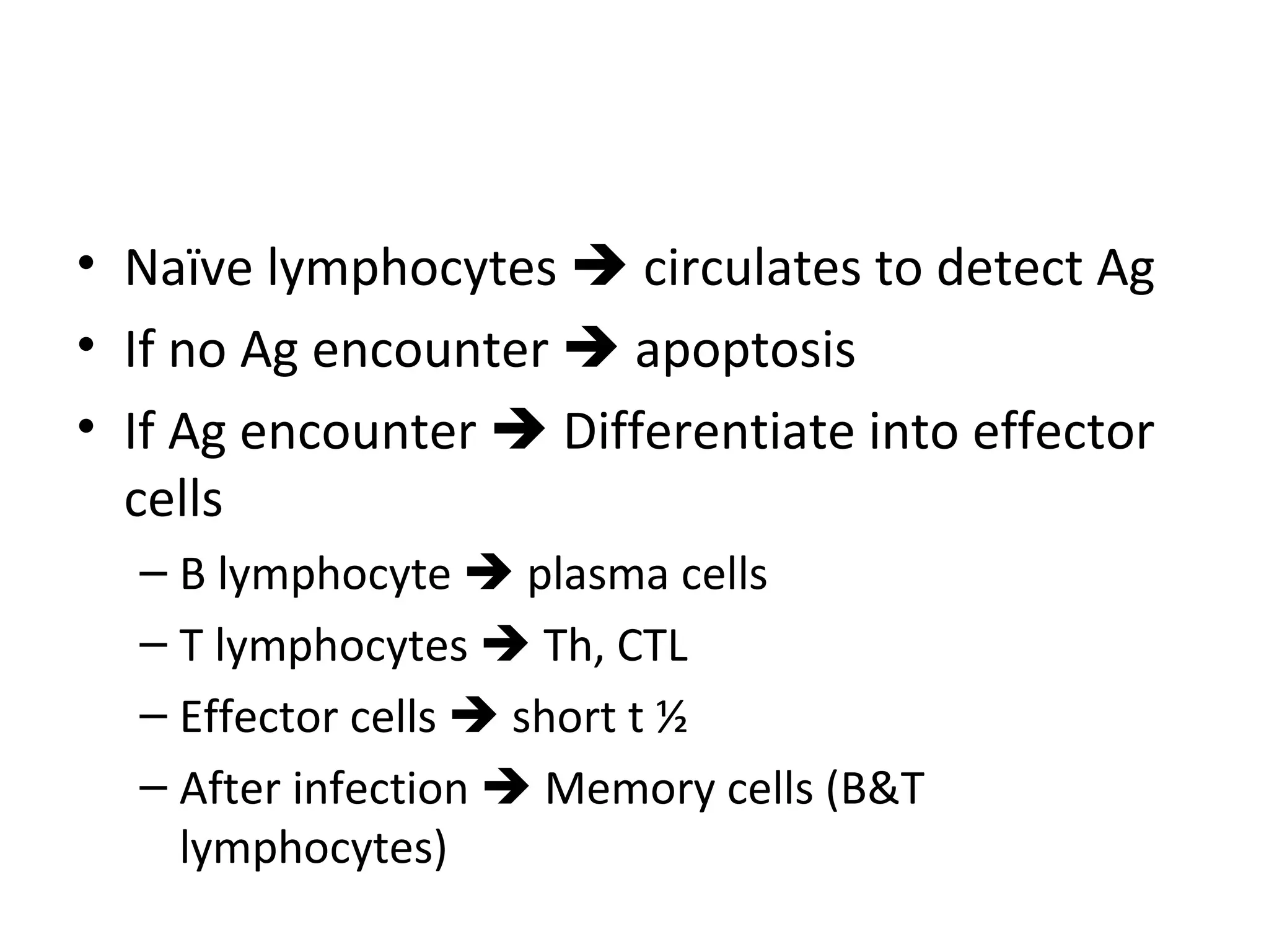 Naïve lymphocytes    circulates to detect Ag If no Ag encounter    apoptosis If Ag encounter    Differentiate into effector cells B lymphocyte    plasma cells T lymphocytes    Th, CTL Effector cells    short t ½  After infection    Memory cells (B&T lymphocytes) 