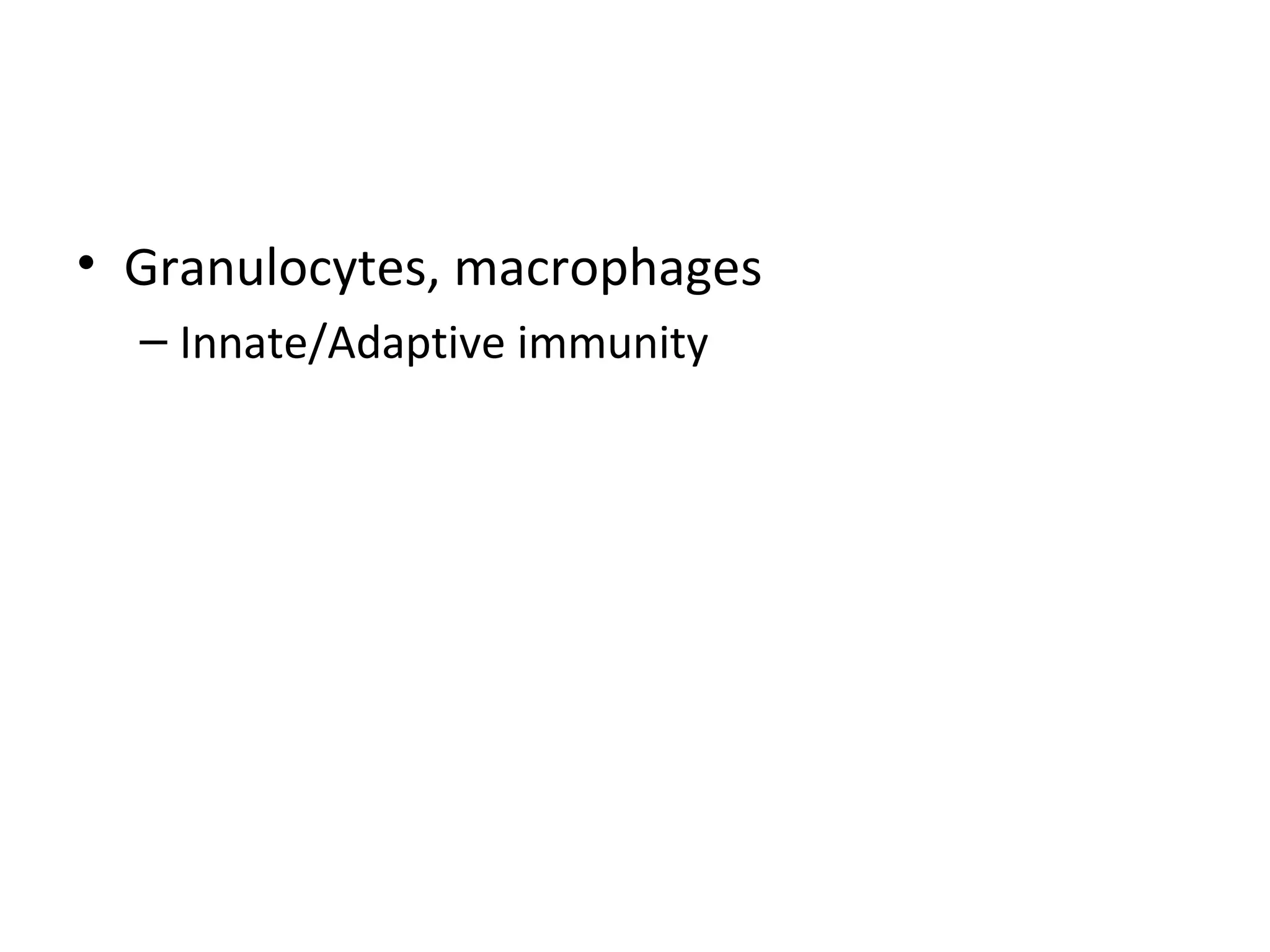 Granulocytes, macrophages Innate/Adaptive immunity 