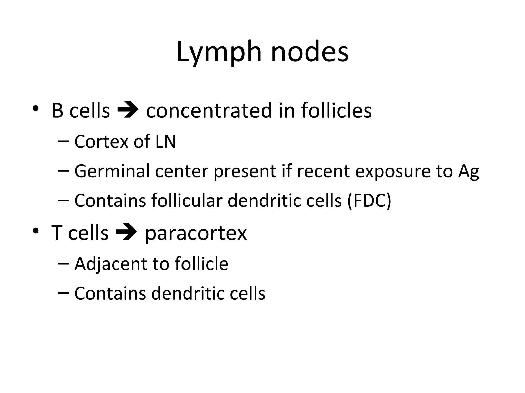 Lymph nodes B cells    concentrated in follicles Cortex of LN Germinal center present if recent exposure to Ag Contains follicular dendritic cells (FDC) T cells    paracortex Adjacent to follicle Contains dendritic cells 