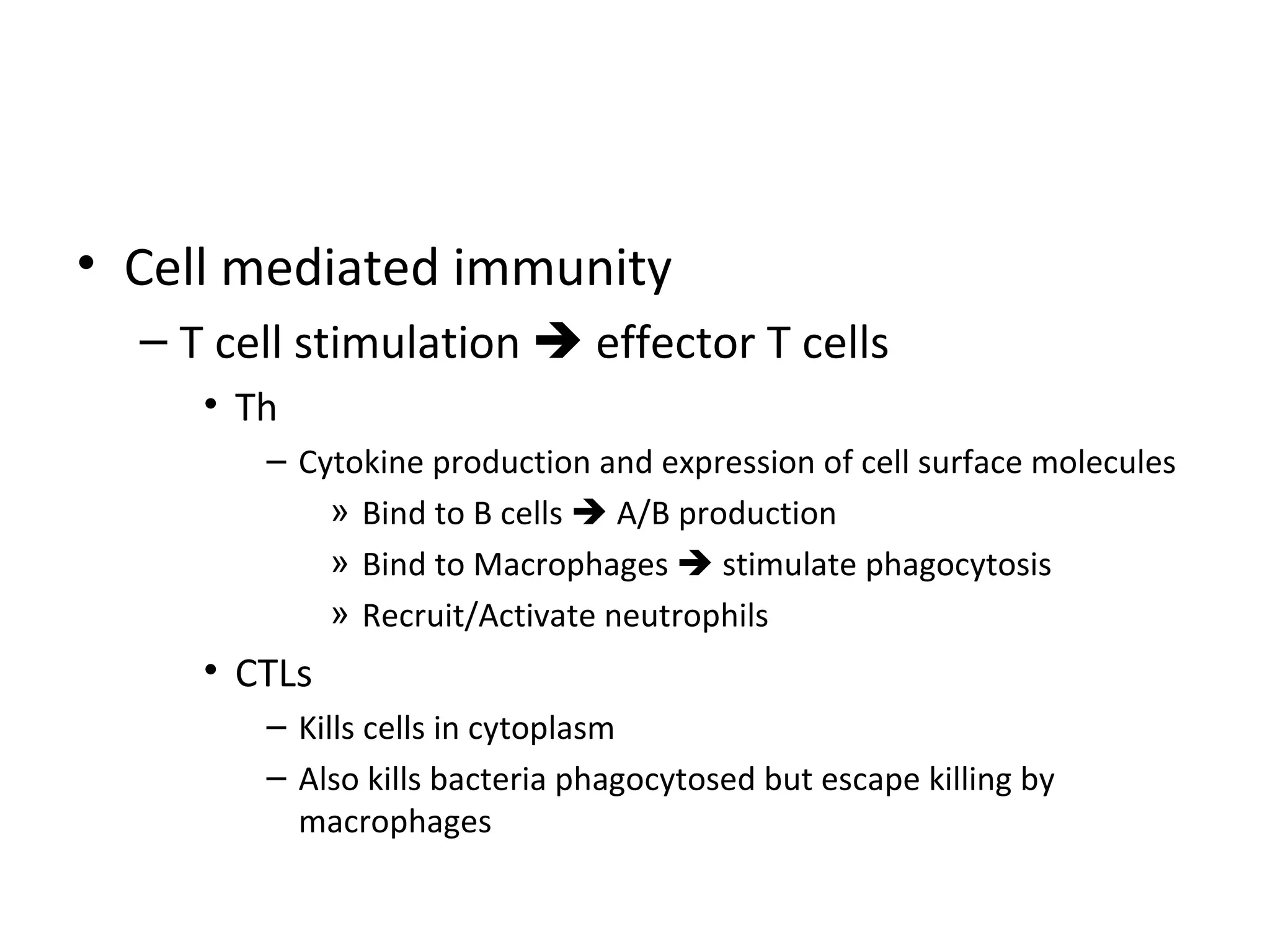 Cell mediated immunity T cell stimulation    effector T cells Th Cytokine production and expression of cell surface molecules Bind to B cells    A/B production Bind to Macrophages    stimulate phagocytosis Recruit/Activate neutrophils CTLs Kills cells in cytoplasm Also kills bacteria phagocytosed but escape killing by macrophages 