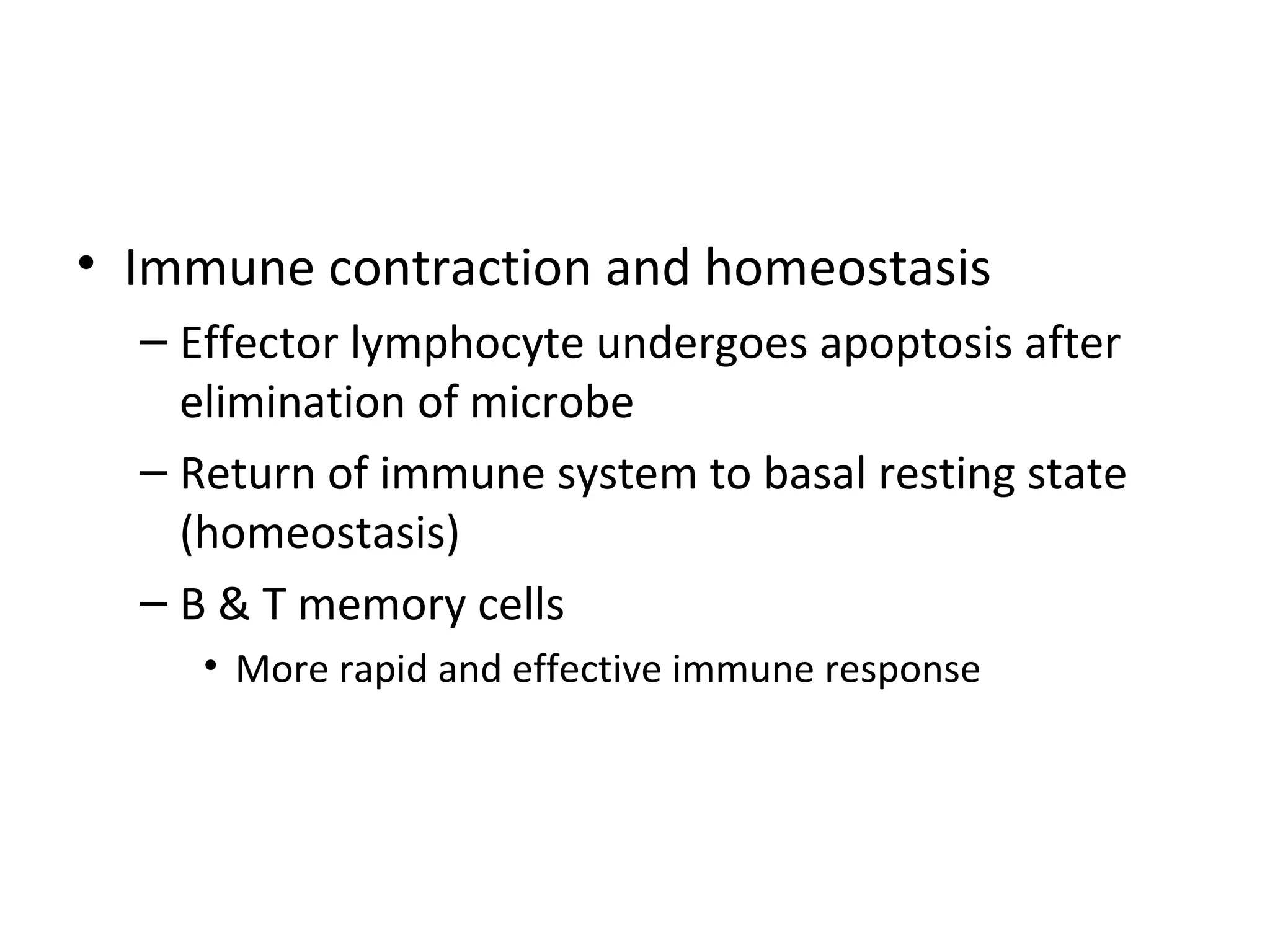 Immune contraction and homeostasis Effector lymphocyte undergoes apoptosis after elimination of microbe Return of immune system to basal resting state (homeostasis) B & T memory cells More rapid and effective immune response  