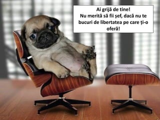 Ai grijă de tine!
Nu merită să fii șef, dacă nu te
bucuri de libertatea pe care ți-o
oferă!
 