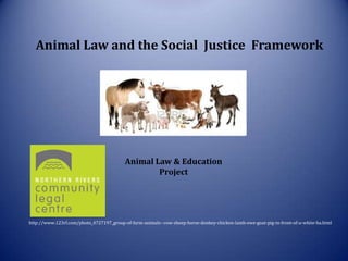 Animal Law and the Social Justice Framework




                                                 ni
                                          Animal Law & Education
                                                  Project




http://www.123rf.com/photo_4727197_group-of-farm-animals--cow-sheep-horse-donkey-chicken-lamb-ewe-goat-pig-in-front-of-a-white-ba.html
 