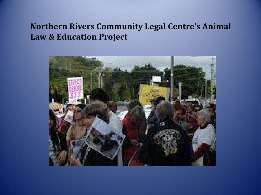 Introduction Animal Law Presentation