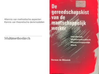 Kennis van methodische aspecten Kennis van theoretische denkmodellen Multimethodisch 
