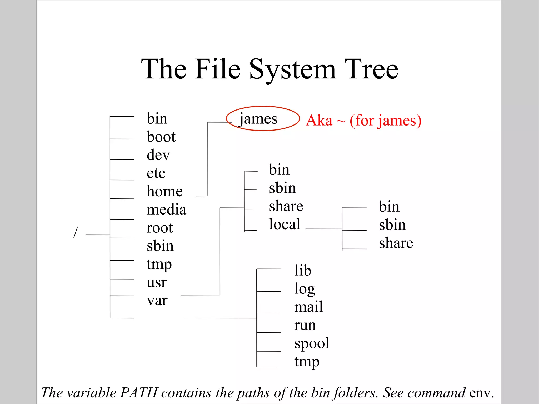 The File System Tree / bin boot dev etc home media root sbin tmp usr var james bin sbin share bin sbin share local lib log mail run spool tmp Aka ~ (for james) The variable PATH contains the paths of the bin folders. See command  env. 
