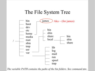 The File System Tree / bin boot dev etc home media root sbin tmp usr var james bin sbin share bin sbin share local lib log mail run spool tmp Aka ~ (for james) The variable PATH contains the paths of the bin folders. See command  env. 
