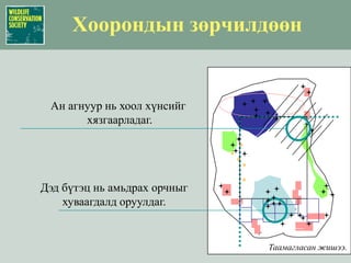 Таамагласан жишээ.Хоорондын зөрчилдөөнАн агнуур нь хоол хүнсийг хязгаарладаг.Дэд бүтэц нь амьдрах орчныг хуваагдалд оруулдаг. 