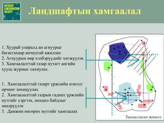 Ландшафтын хамгаалалТаамагласан жишээ.1. Хуурай улиралд ан агнуурыг багасгахаар анчидтай ажиллах2. Агнуурын өөр хэлбэрүүдийг хөгжүүлэх.3. Хамгаалалттай газар нутагт ангийн хууль журмыг сахиулах.1.  Хамгаалалттай газарт үржлийн нэмэлт орчинг зохицуулах2.  Хамгаалалттай газрын гаднах үржлийн нутгийг сэргээх, нөхцөл байдлыг зөөлрүүлэх3.  Дамжин өнгөрөх нутгийг хамгаалах