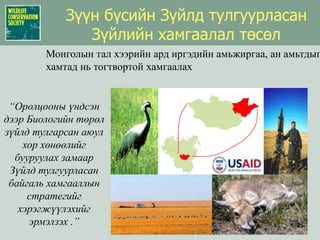Зүүн бүсийн Зүйлд тулгуурласан Зүйлийн хамгаалал төсөл Монголын тал хээрийн ард иргэдийн амьжиргаа, ан амьтдыг хамтад нь тогтвортой хамгаалах “Оролцооны үндсэн дээр Биологийн төрөл зүйлд тулгарсан аюул хор хөнөөлийг бууруулах замаар   Зүйлд тулгуурласан байгаль хамгааллын стратегийг хэрэгжүүлэхийг эрмэлзэх .”