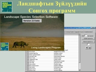 Тулгарч буй гол бэрхшээлүүд © WCS,Фото: Т.МюллерУг амьтад нь:Тухайн нутагт зохилдсон
