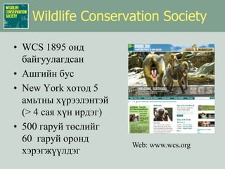 Wildlife Conservation SocietyWCS 1895 онд байгуулагдсанАшгийн бусNew York хотод 5 амьтны хүрээлэнтэй (> 4 сая хүн ирдэг)500 гаруй төслийг  60  гаруй оронд хэрэгжүүлдэгWeb: www.wcs.org