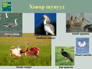 Амьдрах орчны төрлүүд