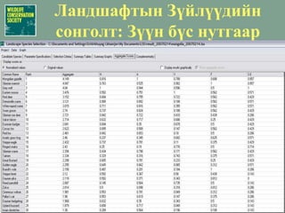 Жижиг хөхтөн амьтадДагуур огдойБор туулайМонгол тарвагаГозоорой зурамАлагдаагаҮлийн цагаан оготно