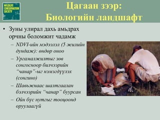 Ландшафтын Зүйлүүдийн сонголт: Зүүн бүс нутгаар 