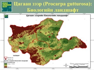 Хүний үйл ажиллагааАмьдрах орчны хуваагдалБэлчээрийн талхагдалХэт агналтТүймэрБайгалийн нөөцийн ашиглалтГазар ашиглалт