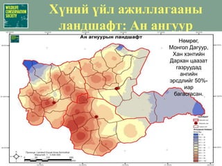 Зүүн бүсийн ландшафтын зүйлүүдийн бүрдэлЦагаан зээрСаарал чоноШивэр хандгайМонгол тарвагаЦэн тогорууДорнодын мэлхийИдлэг шонхорТул загас© B.Lkhagvasuren© B.Lkhagvasuren