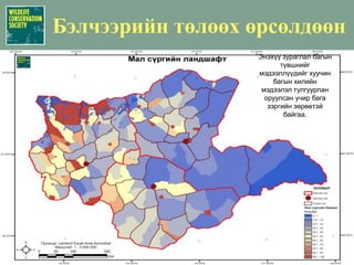 Цагаан зээр(Procarpa gutturosa) Тоо толгойнбайдал НүүдлийнУрьдчилан таашгүй тархалтДорнод талТоо толгойнхэмжээ1.13 сая (+/- 250,000)Тоо толгойнНягтшил15 зээр/kм2 (хамгийн оновчтой)