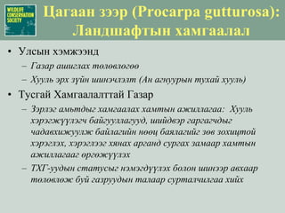 Хүний үйл ажиллагааны ландшафт: Ан ангуурНөмрөг, Монгол Дагуур, Хан хэнтийн Дархан цаазат газруудад ангийн эрсдлийг 50%-иар багасгасан.