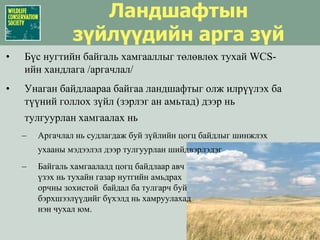 Ландшафтын зүйлүүдийн арга зүйБүс нугтийн байгаль хамгааллыгтөлөвлөхтухайWCS-ийнхандлага /аргачлал/Унаган байдлаараа байгаа ландшафтыг олж илрүүлэх ба түүний голлох зүйл (зэрлэг ан амьтад)дээр нь тулгуурлан хамгаалах ньАргачлал ньсудлагдажбуйзүйлийнцогцбайдлыгшинжлэх ухааны мэдээлэл дээр тулгуурлан шийдвэрлэдэгБайгаль хамгаалалд цогцбайдлааравчүзэхньтухайнгазарнутгийнамьдрахорчнызохистойбайдалбатулгарч буй                                                        бэрхшээлүүдийг бүхэлд нь хамруулахаднэнчухалюм. 