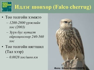 Цагаан зээр (Procarpa gutturosa) : Ландшафтын хамгаалалТоо толгойн зорилт: 2 сая (тогтвортой хэрэглээ)Үзэл баримтлалЗүүн бүсийн экосистемүүдийн нэгдлийг  хадгалахАн агнуурыг багасгахБэлчээрийн өрсөлдөөн, халдварт өвчлөлийг бууруулах