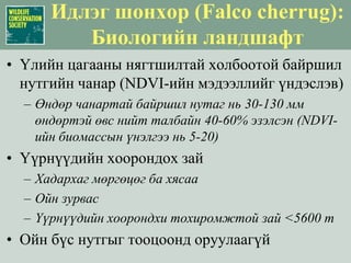 Цагаан зээр (Procarpa gutturosa) : Ландшафтын хамгаалалЗорилт: Хууль ёсны агнуурт хязгаарлалт тавих (улирал, зөвшөөрөл олголт ба хязгаарлалт)Аймгийн төвүүдБайгаль Орчны АлбаУлсын Мэргэжлийн Хяналтын АлбаСумын төвүүдБайгаль Хамгаалах байцаагч нар: зөвшөөрөл, хуулийн хэрэгжилт ба хяналт шинжилгээНөхөрлөлүүдНөхөрлөлийн байгаль хамгаалагч нар/бүлгүүд (зэрлэг амьтдын мониторинг ба хууль хэрэгжүүлэх сургалт)Хуулийн дагуу хийгдсэн ангийн тайлан (сумаас тусламж авах)Нөхөрлөлийн ашиг тус: хүнсний аюулгүй байдал, нүүдэлчин ахуй ба байгаль хамгаалах уламжлалаа хадгалах