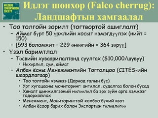 Идлэг шонхор (Falco cherrug)Үлийн цагаан оготнын тоо болон тархацаас шууд хамааралтайИдлэг шонхорын үүр нь дараахь хэлбэрүүдтэй байж болноБайгалийнЗохиомол
