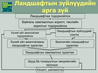 Ландшафтын зүйлүүдийн арга зүйЛандшафтаа тодорхойлохБайгаль хамгааллын зорилт, төслийн зорилгыг тодорхойлохЛандшафтын зүйлүүдийг сонгохХүний үйл ажиллагааг тодорхойлохХүний үйл ажиллагааны ландшафтыг зураглахБиологийн ландшафтыгзураглахЛандшафтын хамгааллыг зураглахШууд ба тохируулгын хөндлөнгийн оролцооХяналт, шинжилгээ