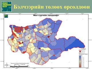 Идлэг шонхор (Falco cherrug):Ландшафтын хамгаалал