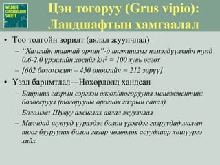 Цэн тогоруу (Grus vipio):Биологийн ландшафтУсны мэдээлэлд үндэслэсэн байршил нутгийн чанарГол & нуурууд: байнгын/үгүй (топографын зураг)Голын дагуу/ус намгархаг газрын ургамалжилтын амьдрах орчинУс намгархаг газар (сэдэвчилсэн газрын зураг)Байнгын нөөцийн өндөр үнэлгээNDVI-ийн мэдээллүүдийн нийлбэрӨндөр өвсөрхөг газрыг товлохОйн бүс нутгыг тооцоонд оруулаагүй