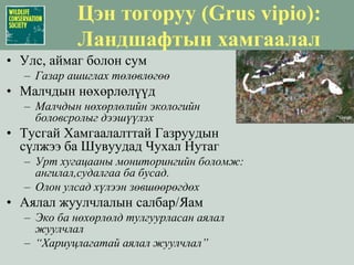 Цэн тогоруу (Grus vipio):Биологийн ландшафтОйролцоогоор 662 хос Цэн тогоруу байна.