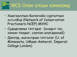 Түймрийн нөлөө