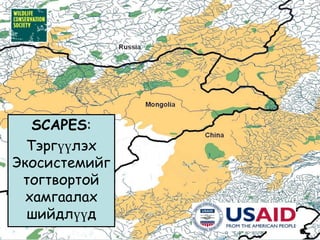 Цэн тогоруу (Grus vipio):Ландшафтын хамгаалалТоо толгойн зорилт (аялал жуулчлал)“Хамгийн таатай орчин”-д нягтшилыг нэмэгдүүлхийн тулд 0.6-2.0 үржлийн хосийг kм2 = 100 хувь өсгөх[662 боломжит – 450 өнөөгийн = 212 зөрүү]Үзэл баримтлал---Нөхөрлөлд хандсанБайршил газрын сэргээн олгох/тогорууны менежментийг боловсруул (тогорууны орогнох газрын санал) Боломж: Шувуу ажиглах аялал жуулчлалМалчдад шувууд үүрлэдэг болон үрждэг газруудад малын тоог бууруулах болон газар чөлөөлөх асуудлаар хөшүүргэ хийх