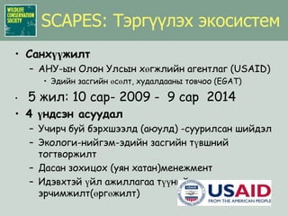 Цэн тогоруу (Grus vipio):Ландшафтын хамгаалалУлс, аймаг болон сумГазар ашиглах төлөвлөгөөМалчдын нөхөрлөлүүдМалчдын нөхөрлөлийн экологийн боловсролыг дээшүүлэхТусгай Хамгаалалттай Газруудын сүлжээ ба Шувуудад Чухал НутагУрт хугацааны мониторингийн боломж: ангилал,судалгаа ба бусад.Олон улсад хүлээн зөвшөөрөгдөхАялал жуулчлалын салбар/ЯамЭко ба нөхөрлөлд тулгуурласан аялал жуулчлал“Хариуцлагатай аялал жуулчлал”