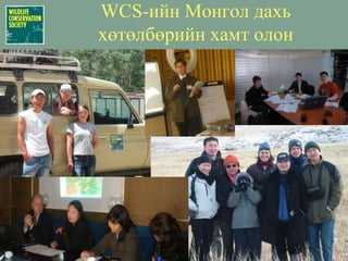 Цэн тогоруу (Grus vipio):Ландшафтын хамгаалал