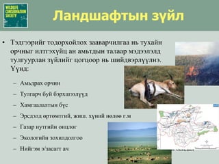 Ландшафтын зүйлТэдгээрийг тодорхойлох зааварчилгаа нь тухайн орчныг илтгэхүйц ан амьтдын талаармэдээлэлд тулгуурлан зүйлийгцогцоор нь шийдвэрлүүлнэ.Үүнд:Амьдрах орчинТулгарч буй бэрхшээлүүдХамгаалалтын бүсЭрсдэлд өртөмтгий, жиш. хүний нөлөө г.мГазар нутгийн онцлогЭкологийн зохилдолгооНийгэм э/засагтач холбогдолтой байдал