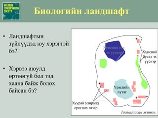 Хүнсний гол эх үүсвэрХүнсний бусад эх үүсвэрҮржлийн нутагХуурай улиралд орогнох газарТаамагласан жишээ.Биологийн ландшафтЛандшафтын зүйлүүдэд юу хэрэгтэй бэ?Хэрвээ аюулд өртөөгүй бол тэд хаана байж болох байсан бэ?