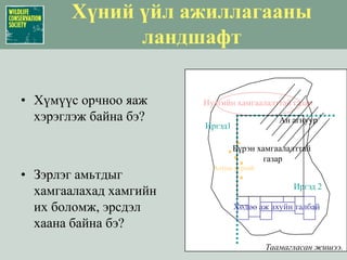 Нутгийн хамгаалалттай газарАн агнуурИргэд1Бүрэн хамгаалалттай газарАлтны уурхайИргэд 2Хөдөө аж ахуйн талбайТаамагласан жишээ.Хүний үйл ажиллагааны ландшафтХүмүүс орчноо яаж хэрэглэж байна бэ?Зэрлэг амьтдыг хамгаалахад хамгийн их боломж, эрсдэл хаана байна бэ?
