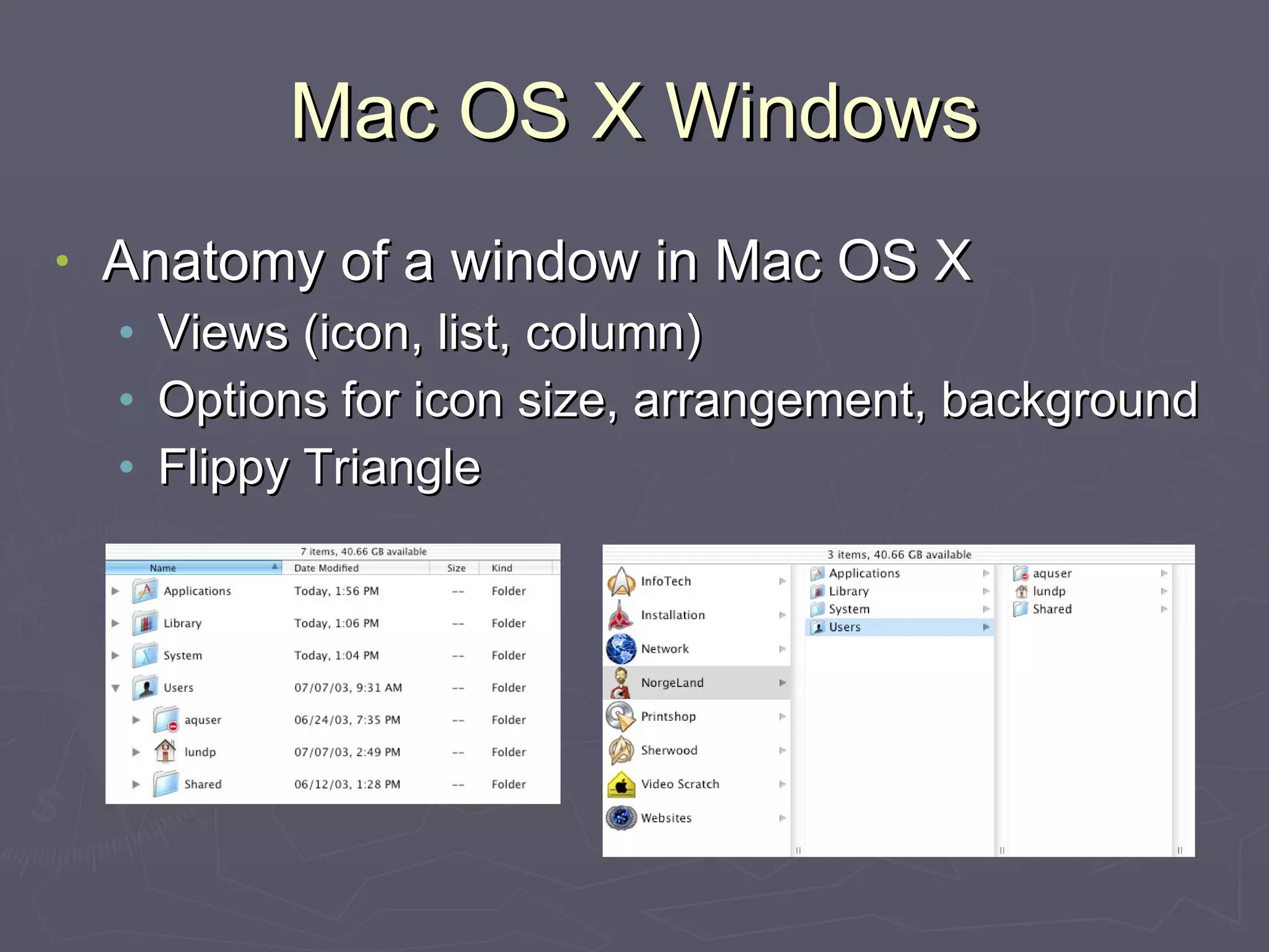 Mac OS X Windows Anatomy of a window in Mac OS X Views (icon, list, column) Options for icon size, arrangement, background Flippy Triangle 