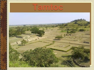 Tamtoc
 