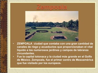 Zempoala
• ZEMPOALA ciudad que contaba con una gran cantidad de
canales de riego y acueductos que proporcionaban el vital
líquido a los numerosos jardines y campos de labranza
circundantes.
• Fue la capital totonaca y la ciudad más grande en el Golfo
de México. Zempoala, fue el primer centro de Mesoamérica
que fue visitado por los europeos.
 