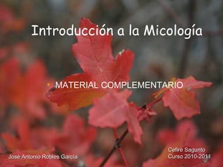 Introducción a la Micología ,[object Object],Cefire Sagunto Curso 2010-2011 José Antonio Robles García 