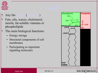 Introduction to Cellular and Molecular Biology | PPT