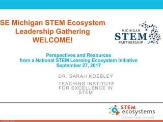 © 2016 TIES
Perspectives and Resources
from a National STEM Learning Ecosystem Initiative
September 27, 2017
DR. SARAH KOEBLEY
TEACHING INSTITUTE
FOR EXCELLENCE IN
STEM
SE Michigan STEM Ecosystem
Leadership Gathering
WELCOME!
 