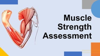 Muscle
Strength
Assessment
 