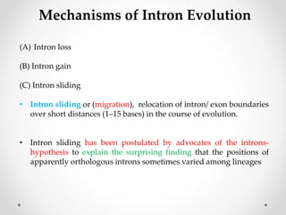 The Role of Introns in Genetic Regulation | PPTX